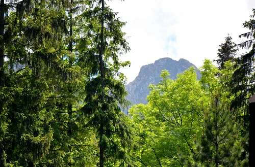 Vue sur les montagnes depuis l'auberge
